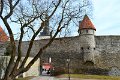 Tallinn (61)